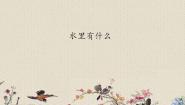 小学科学青岛版 (六三制)四年级上册7 水里有什么课文内容课件ppt