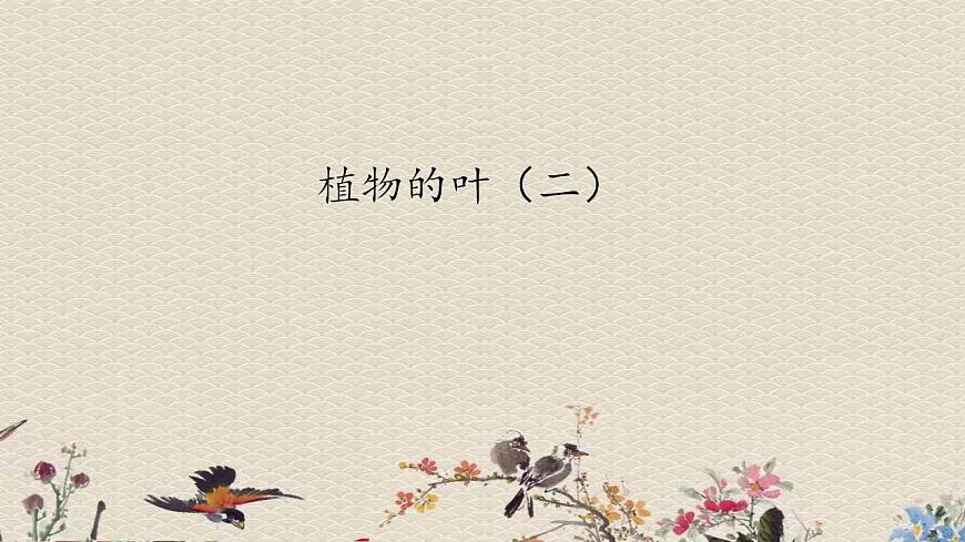 青島版（六三制）四年級(jí)上冊(cè) 科學(xué) 第三單元 植物的生活《植物的葉（二）》課件第1頁(yè)