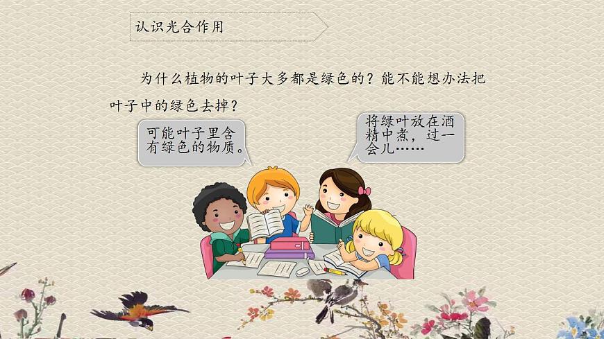 青島版（六三制）四年級(jí)上冊(cè) 科學(xué) 第三單元 植物的生活《植物的葉（二）》課件第4頁(yè)
