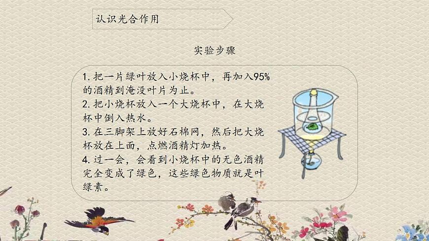青島版（六三制）四年級(jí)上冊(cè) 科學(xué) 第三單元 植物的生活《植物的葉（二）》課件第5頁(yè)
