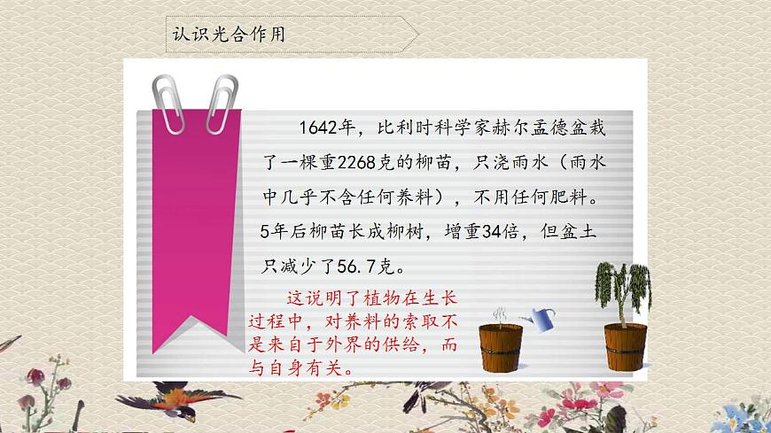 青島版（六三制）四年級(jí)上冊(cè) 科學(xué) 第三單元 植物的生活《植物的葉（二）》課件第7頁(yè)