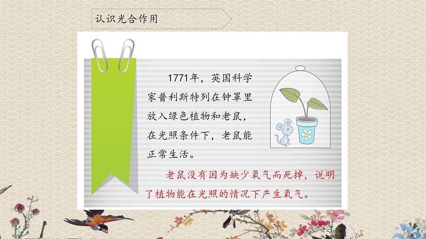 青島版（六三制）四年級(jí)上冊(cè) 科學(xué) 第三單元 植物的生活《植物的葉（二）》課件第8頁(yè)
