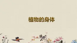 青岛版（六三制）四年级上册 科学 第三单元 植物的生活《植物的身体》课件