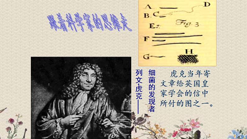 青岛版(六三制)六年级上册 科学 第一单元 微小的生物《细菌》课件第4页