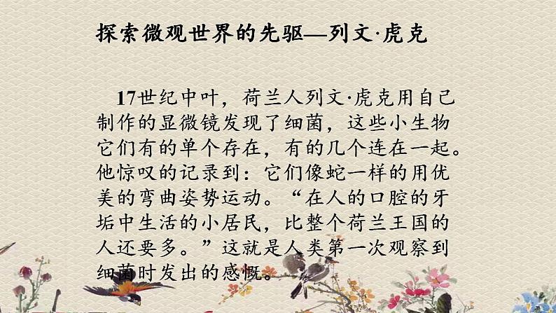 青岛版(六三制)六年级上册 科学 第一单元 微小的生物《细菌》课件第5页
