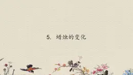 青岛版（六三制）六年级上册 科学 第二单元 物质的变化《蜡烛的变化》课件