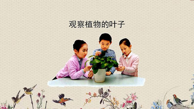 青岛版(六三制2017)一年级上册 科学 第一单元 我们一起学科学《走进科学》课件第5页