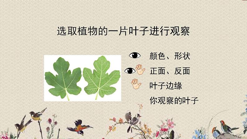 青岛版(六三制2017)一年级上册 科学 第一单元 我们一起学科学《走进科学》课件第6页