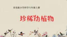 青岛版（六三制）六年级上册 科学 第五单元  生物与环境《珍稀动植物》课件