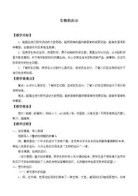 青島版 (六三制)六年級(jí)上冊(cè)25、生物的啟示教案