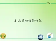 冀教版六年级上册科学3.鸟类动物的特征  课件