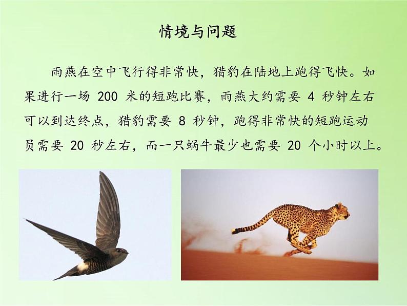 冀人版四年级科学上册3.运动的快慢 课件第2页