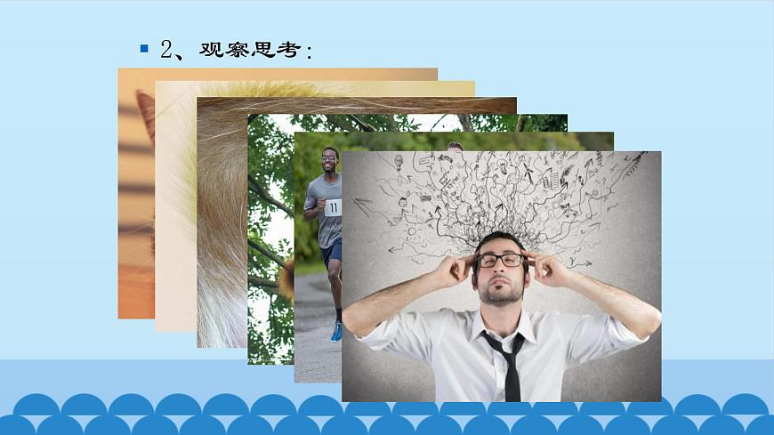 首師大版六年級科學上冊4.人類的進化  課件第4頁