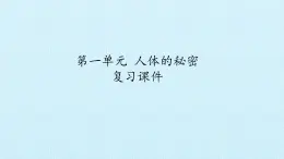 首师大版六年级科学上册第一单元   人体的秘密  复习课件