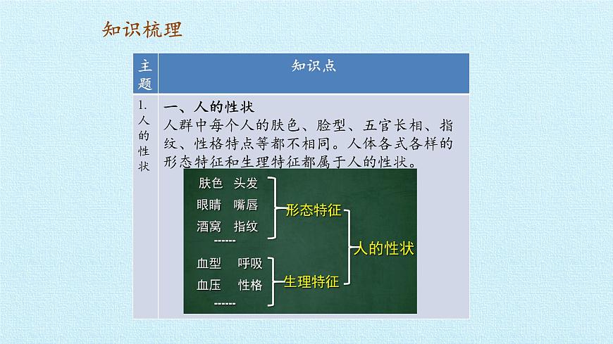 首師大版六年級科學(xué)上冊第一單元   人體的秘密  復(fù)習(xí)課件第2頁