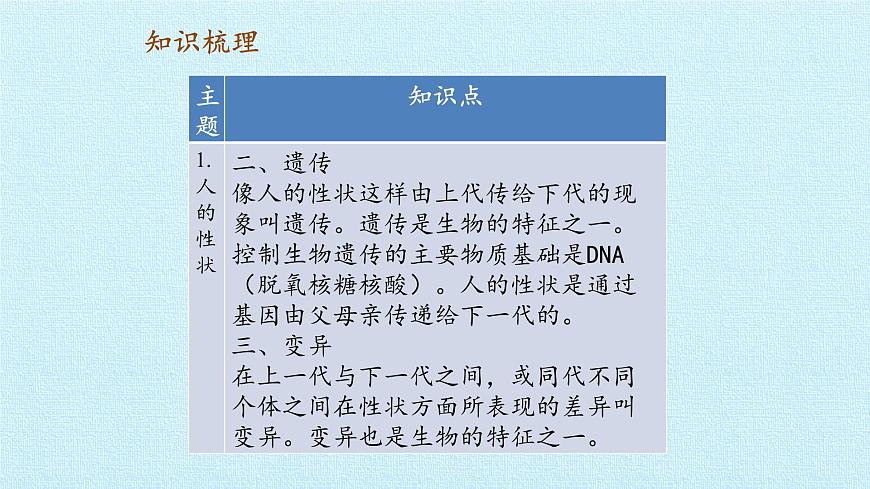 首師大版六年級科學(xué)上冊第一單元   人體的秘密  復(fù)習(xí)課件第3頁