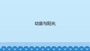 首师大版六年级上册5.幼苗与阳光课堂教学ppt课件
