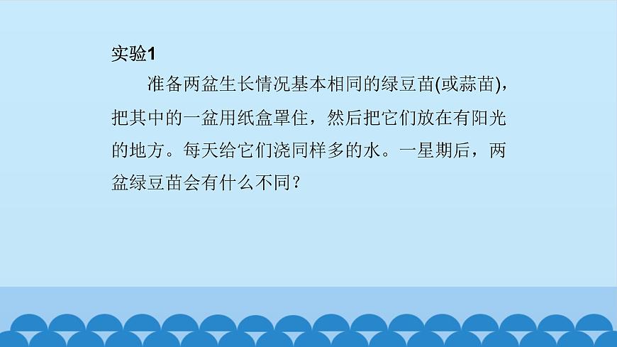 首師大版六年級科學(xué)上冊5.幼苗與陽光    課件第2頁