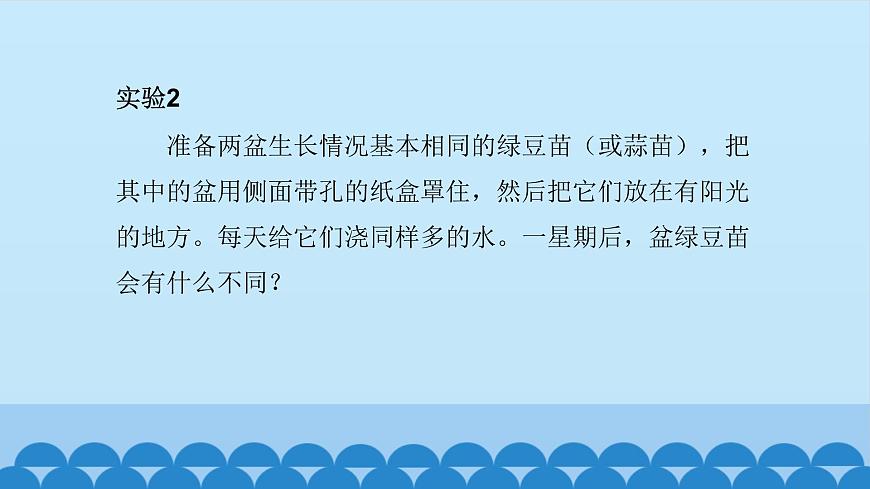 首師大版六年級科學(xué)上冊5.幼苗與陽光    課件第4頁