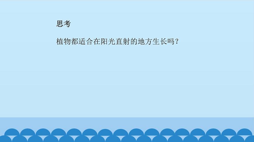 首師大版六年級科學(xué)上冊5.幼苗與陽光    課件第7頁