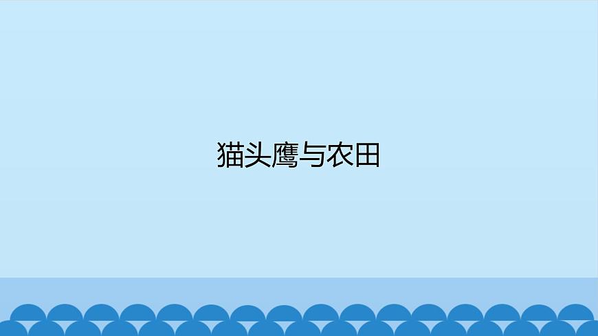 首師大版六年級科學(xué)上冊6.貓頭鷹與農(nóng)田   課件第1頁