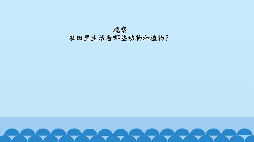 首師大版六年級科學(xué)上冊6.貓頭鷹與農(nóng)田   課件第2頁