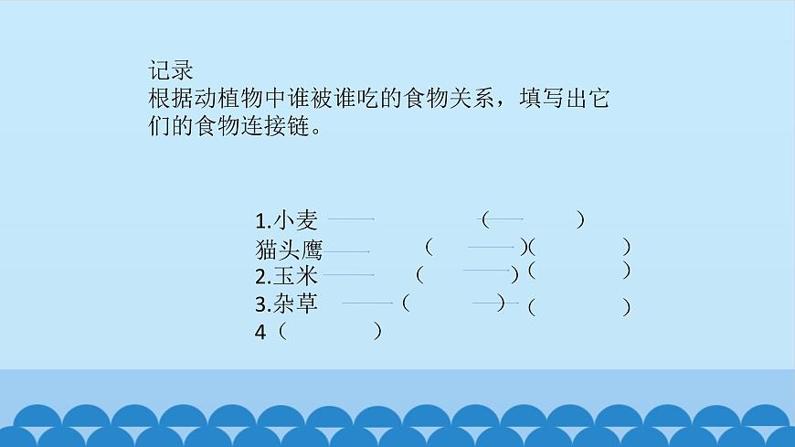 首師大版六年級科學(xué)上冊6.貓頭鷹與農(nóng)田   課件第6頁