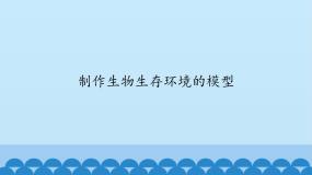 小学科学首师大版六年级上册8.制作生物生存环境的模型说课课件ppt