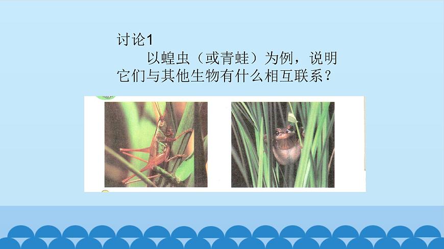 首師大版六年級科學(xué)上冊8.制作生物生存環(huán)境的模型    課件第2頁
