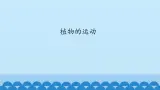 首师大版六年级科学上册9.植物的运动   课件