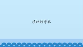 小学科学首师大版六年级上册18.植物的考察课文课件ppt