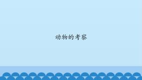 首师大版六年级上册19.动物的考察集体备课ppt课件