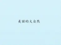 冀人教版二年级科学上册4.美丽的大自然   课件