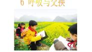小学科学冀教版六年级下册6 呼吸与交换课堂教学课件ppt