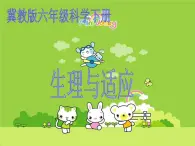 冀教小学科学六下册《8生理与适应》PPT 课件