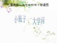 冀教小学科学六下册《11小瓶子大学问》PPT课件 (1)