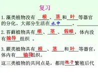 人教小学科学2.1植物的种子课件