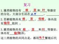 小学人教版 (新课标)1 植物的种子课前预习ppt课件