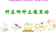 人教版 (新课标)三年级下册3 种在哪种土壤里好课文配套课件ppt