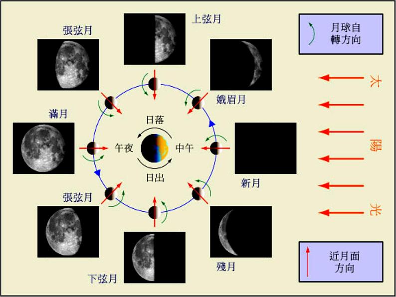 教科版(2001)科学六年级下册 3.2 月相变化(4)(课件)第7页
