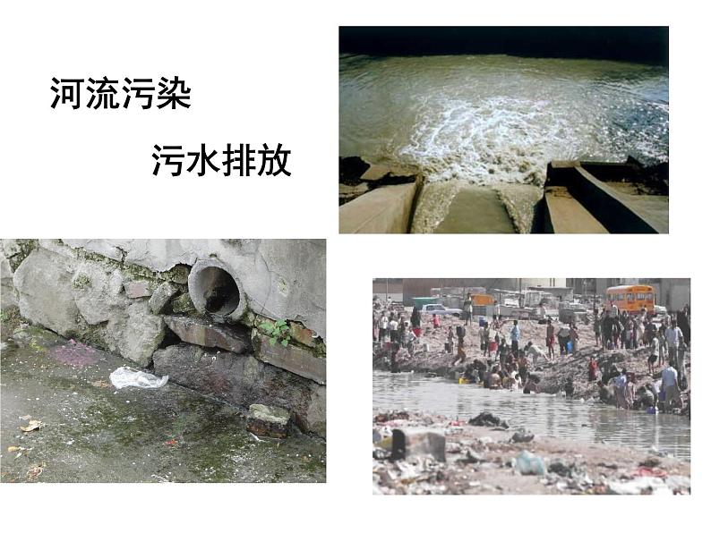 鄂教版小学科学三上《9怎样使水变清》PPT课件 (2)第3页