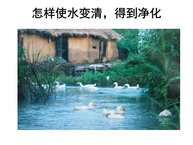 鄂教版小学科学三上《9怎样使水变清》PPT课件 (2)第7页