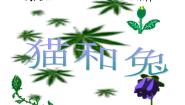 科学鄂教版22 兔与猫说课ppt课件