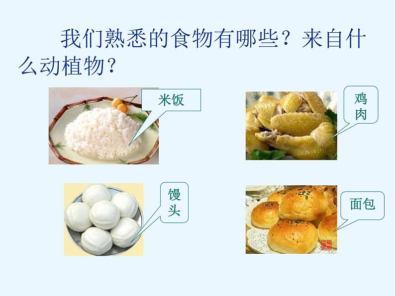 (鄂教版)三年级科学上册课件 食物从哪里来 1第2页