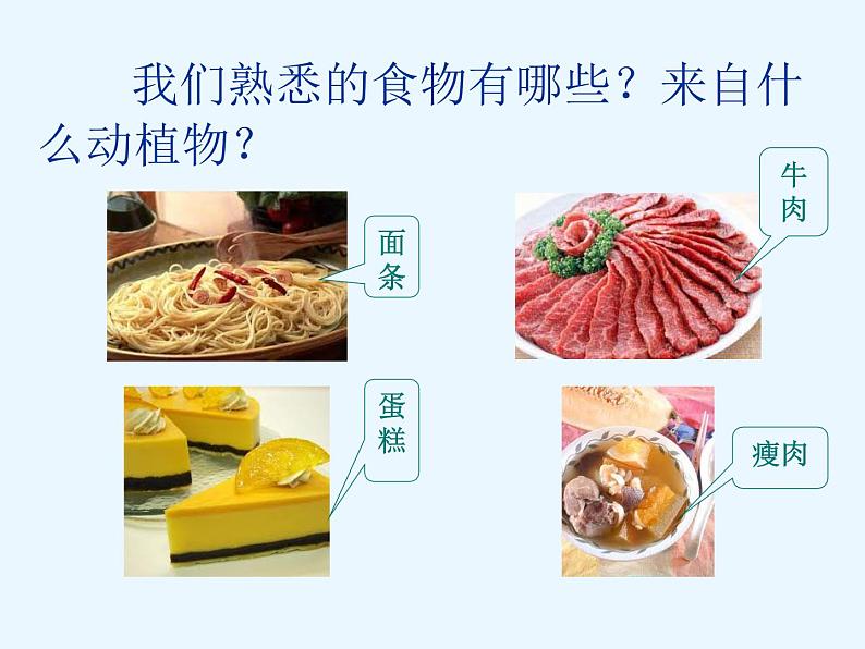 (鄂教版)三年级科学上册课件 食物从哪里来 1第3页