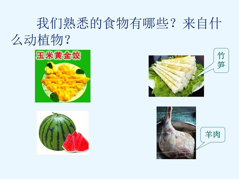 (鄂教版)三年级科学上册课件 食物从哪里来 1第4页