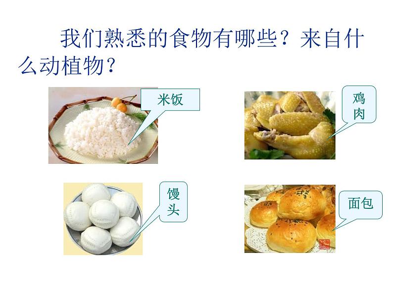 (鄂教版)三年级科学上册课件 食物从哪里来 1第2页