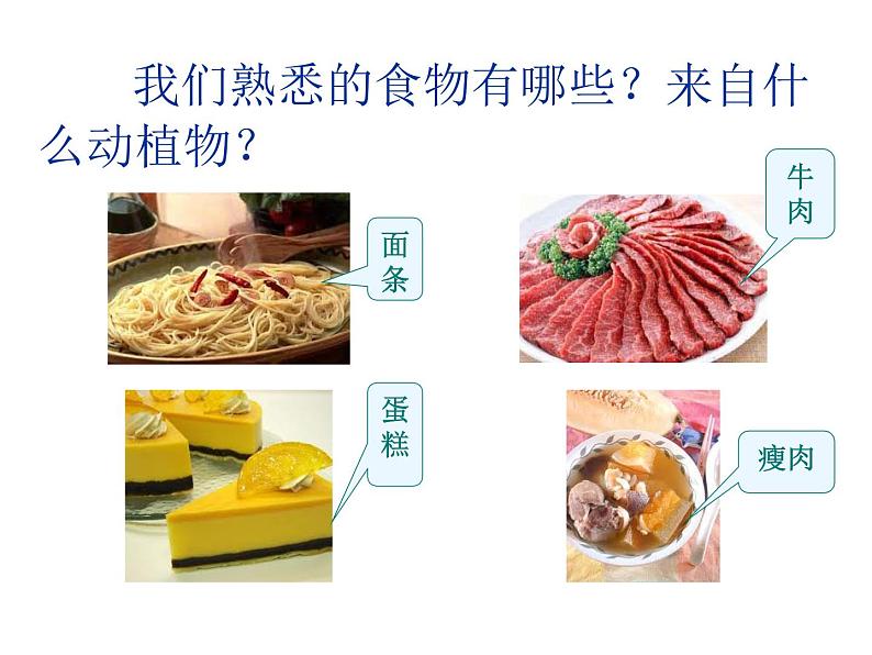 (鄂教版)三年级科学上册课件 食物从哪里来 1第3页