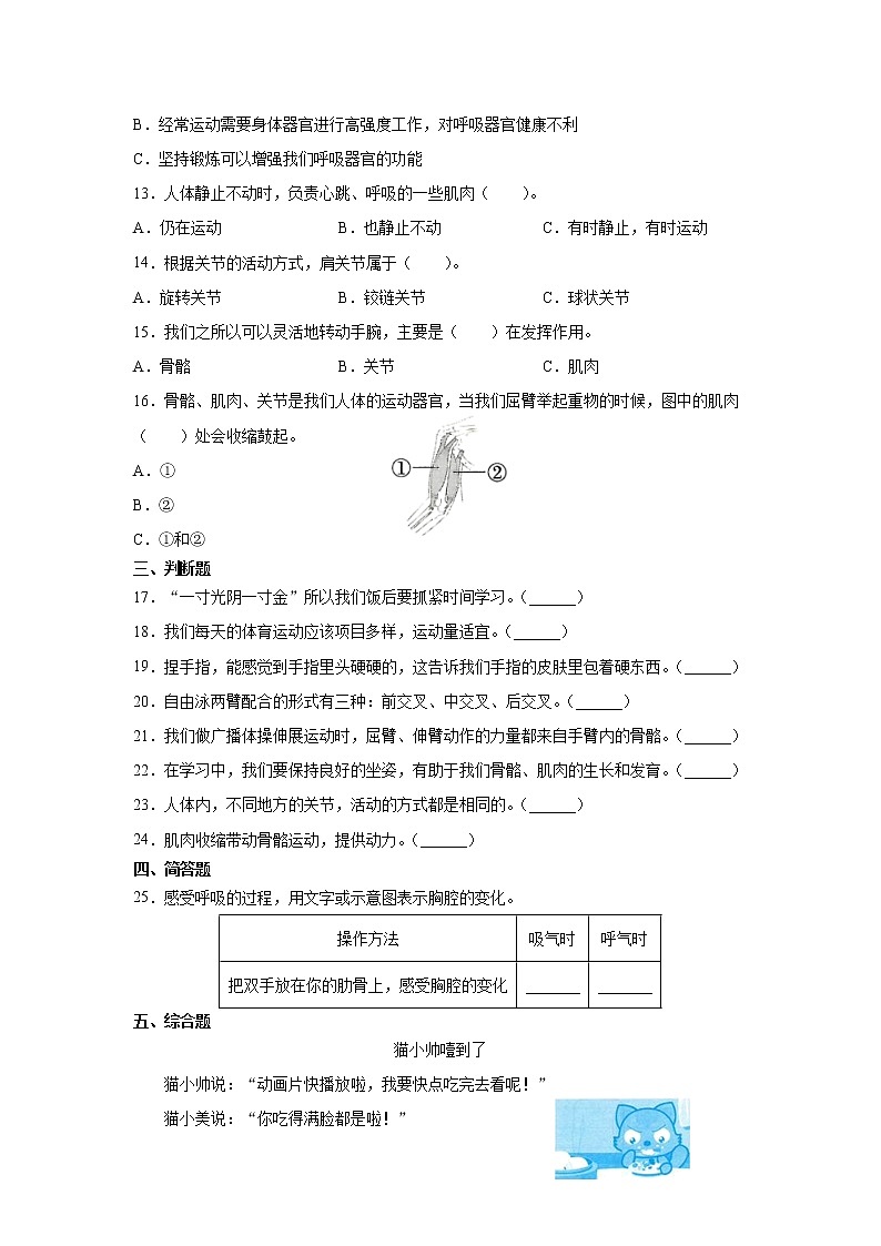 (教科版2017)科学五年级上册4.2身体的运动习题(含答案)第2页