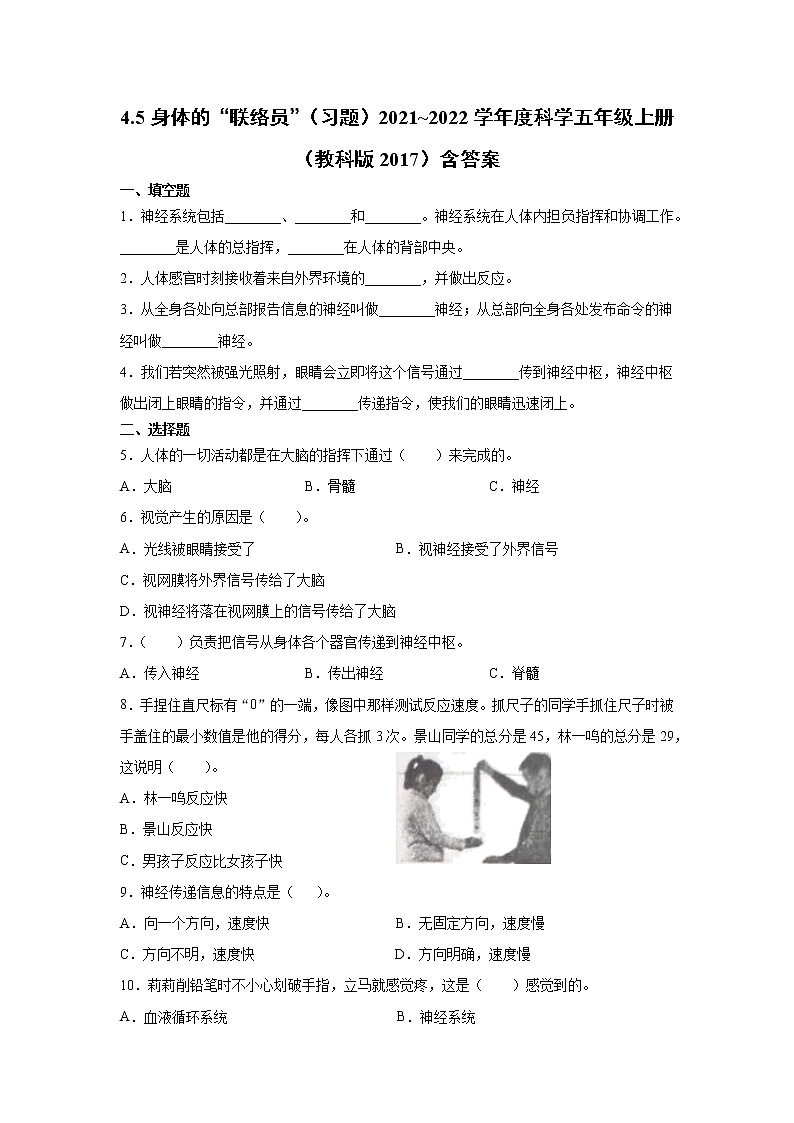 (教科版2017)科学五年级上册4.5身体的“联络员”习题(含答案)01